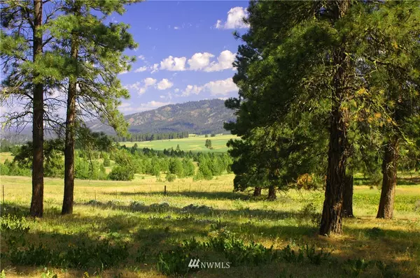 Cle Elum, WA 98922,0 Lot 4A Hidden Valley RD