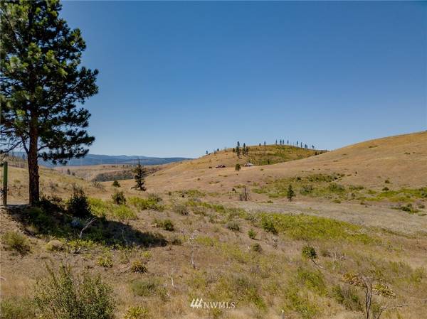 0 XXX Raptor Ridge RD, Cle Elum, WA 98922