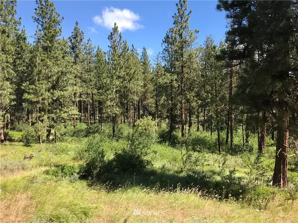 0 Lot 5 Mountain Creek DR, Cle Elum, WA 98922