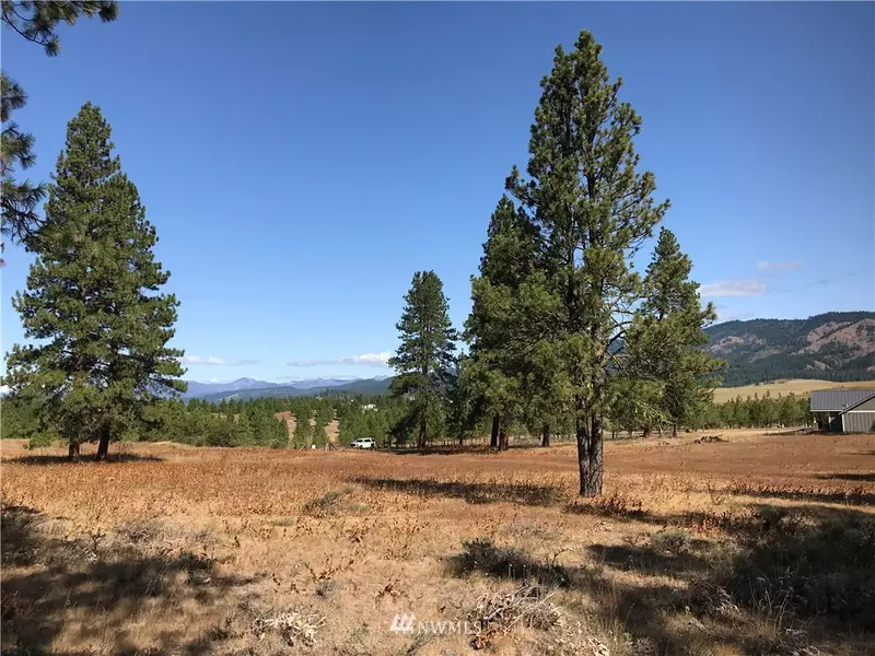 0 XXX Hidden Valley RD, Cle Elum, WA 98922