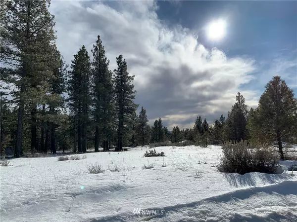 100 Chipmunk Trail RD, East Wenatchee, WA 98802