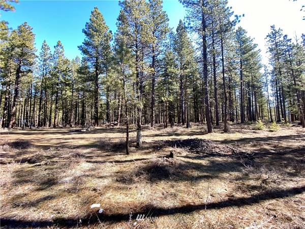 0 Lot 1 Pine Duff, Cle Elum, WA 98922