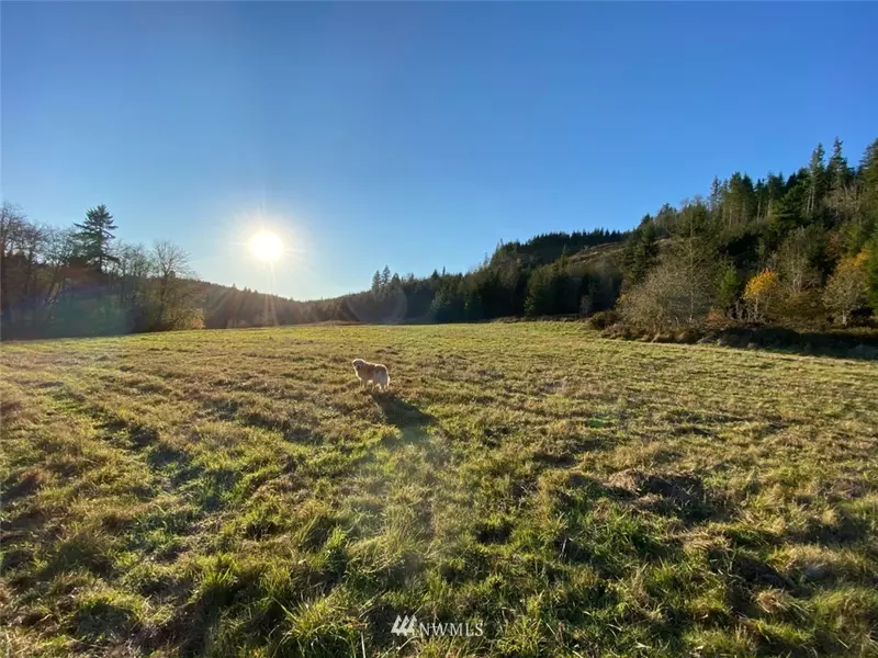 484 Salmon Creek RD, Mossyrock, WA 98564