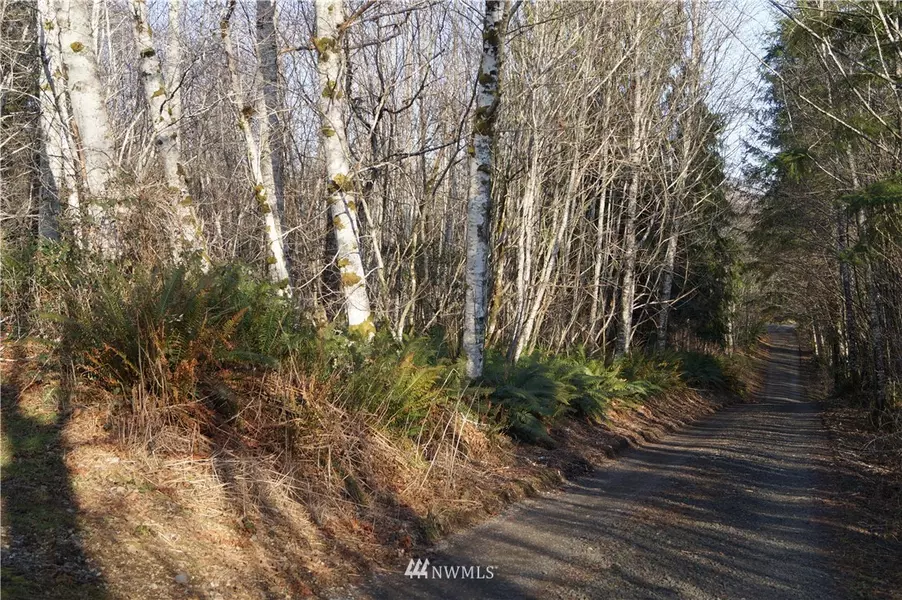 0 McGaughy Ridge LN, Elma, WA 98541