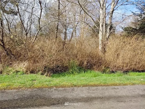 0 1ST AVE, Grayland, WA 98547