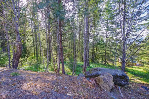 0 Lake Forest -Lot 6 DR, Ronald, WA 98940