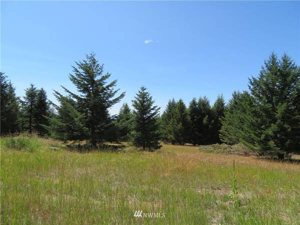 0 Lot 7 Bonaparte Run RD,  Wauconda,  WA 98859