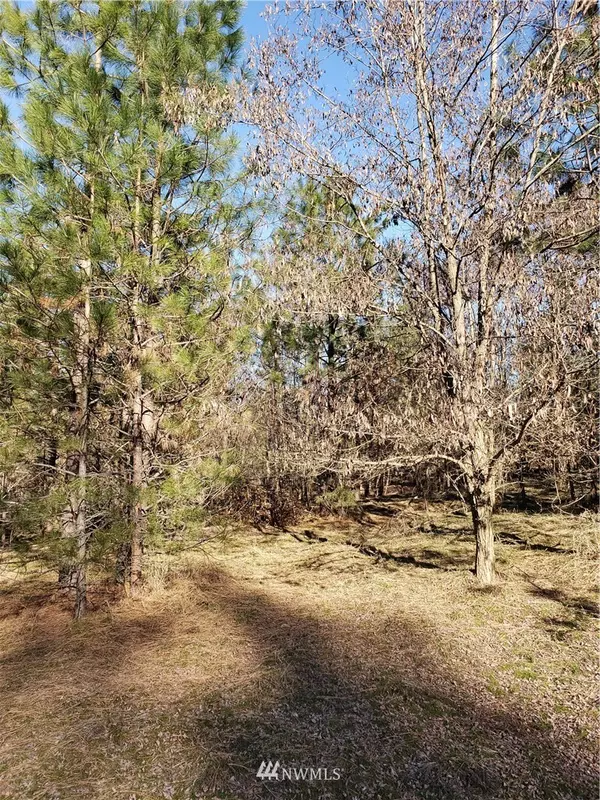 Kettle Falls, WA 99141,1395 Lot 60 Ponderosa WAY