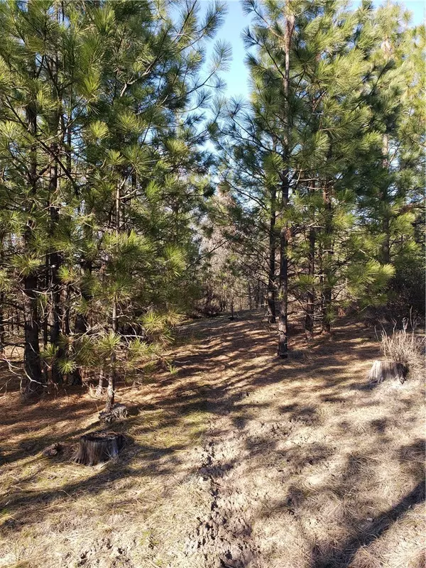 1395 Lot 60 Ponderosa WAY, Kettle Falls, WA 99141