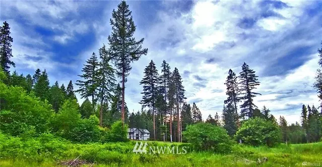 0 Lot 6 Hermitage DR, Cle Elum, WA 98922