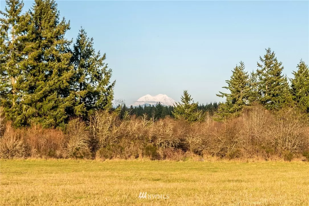 Napavine, WA 98565,0 L-3 Jordan RD