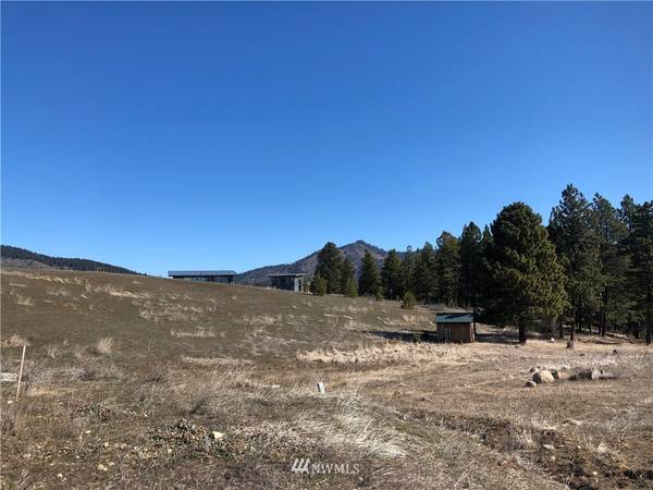 0 Lot 5-B Mountain Creek Drive, Cle Elum, WA 98922