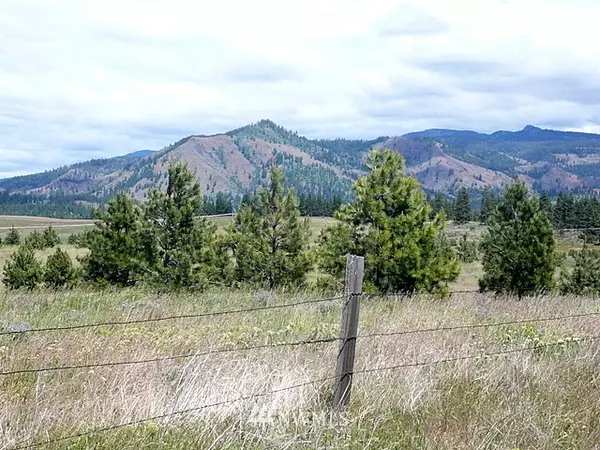 Cle Elum, WA 98922,947 (Lot 4) Leo LN