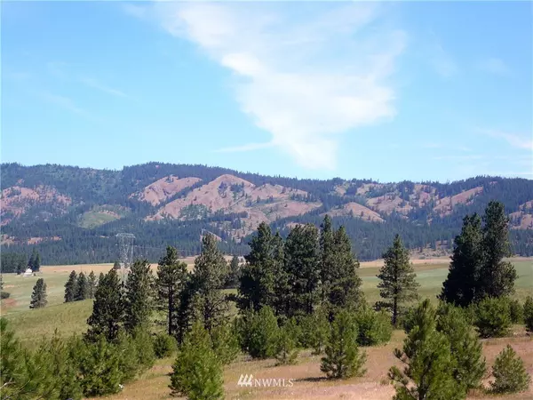 Cle Elum, WA 98922,947 (Lot 4) Leo LN