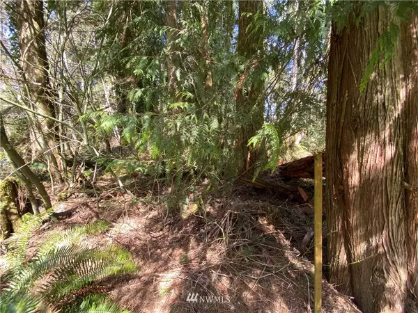 Granite Falls, WA 98252,20 XX 237th DR NE