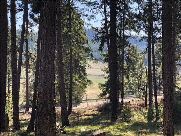 Cle Elum, WA 98922,0 Lot 2 Ranch RD