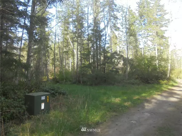 9999 Chickadee LN, Quilcene, WA 98376