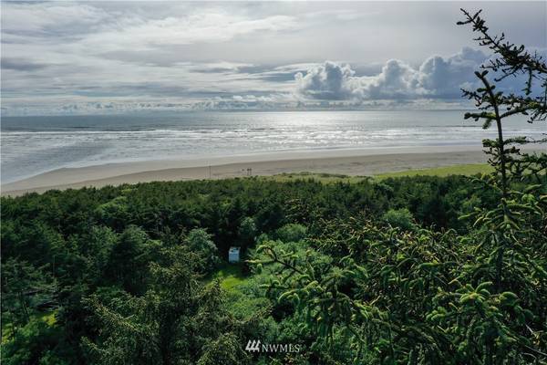 54 Ocean View LN, Copalis Beach, WA 98569