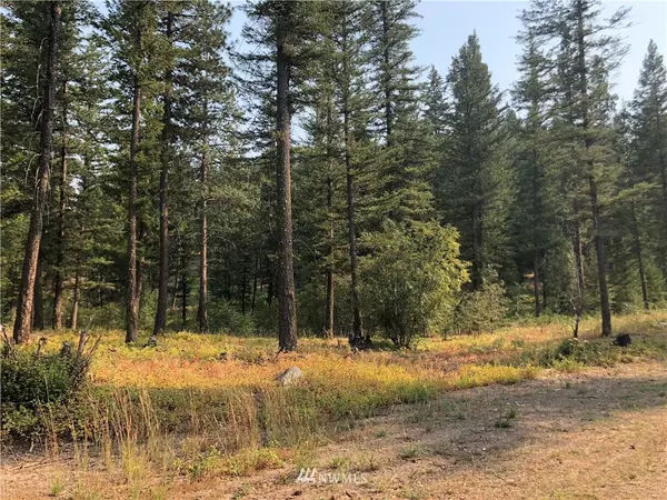 Winthrop, WA 98862,0 Lot 147 Yellowleaf RD