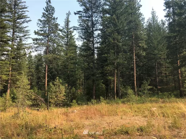 Winthrop, WA 98862,0 Lot 147 Yellowleaf RD