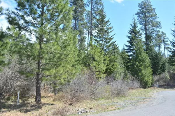 Cle Elum, WA 98922,400 Big Rock LN