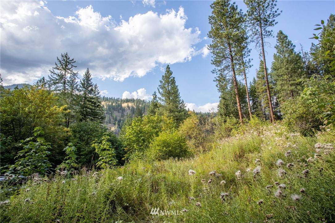 3851 Old Blewett RD, Peshastin, WA 98847
