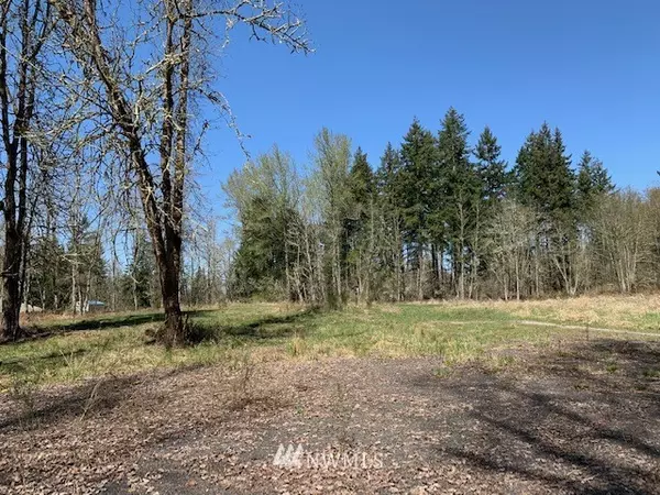 Graham, WA 98338,32411 Meridian AVE E