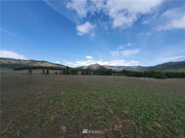 Cle Elum, WA 98922,0 Lot 10B Mountain Creek DR