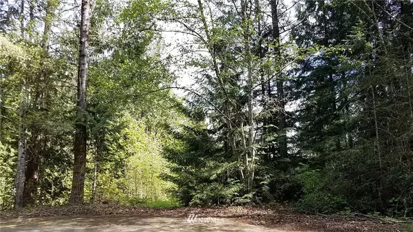 34 Hood View Place, Lilliwaup, WA 98584
