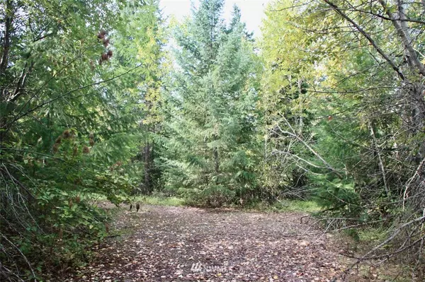 Cle Elum, WA 98922,6221 Lot WestSide RD