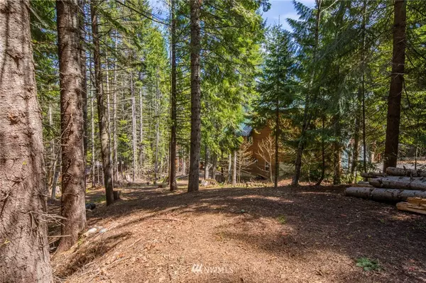 59 Lot 59 Alpine LN, Easton, WA 98925