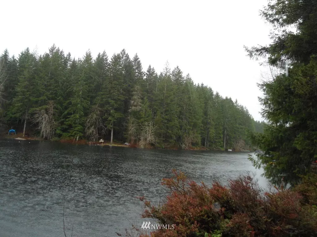 Belfair, WA 98588,831 NE Colins Lake Drive