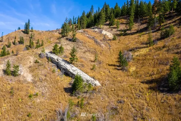 Leavenworth, WA 98826,0 Dry Creek RD #Lot 5