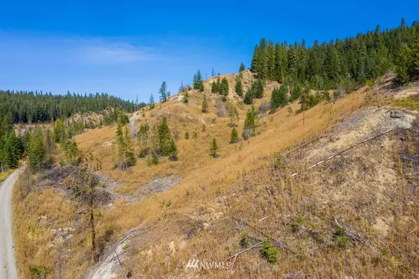 Leavenworth, WA 98826,0 Dry Creek RD #Lot 5