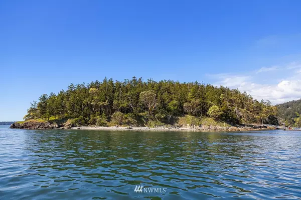 Decatur Island, WA 98221,1 Trump Island