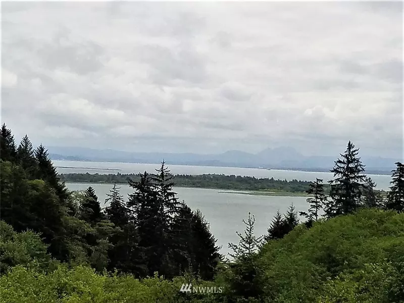 3100 Discovery View CT, Ilwaco, WA 98624