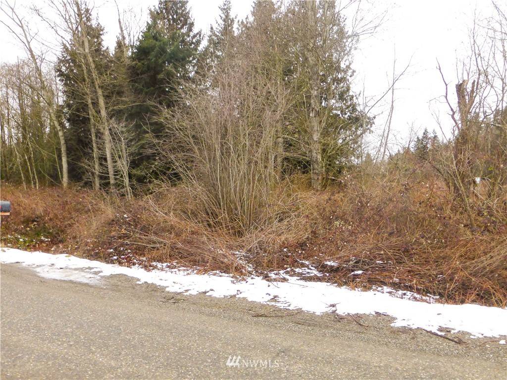 0 County Line RD, Mount Vernon, WA 98273