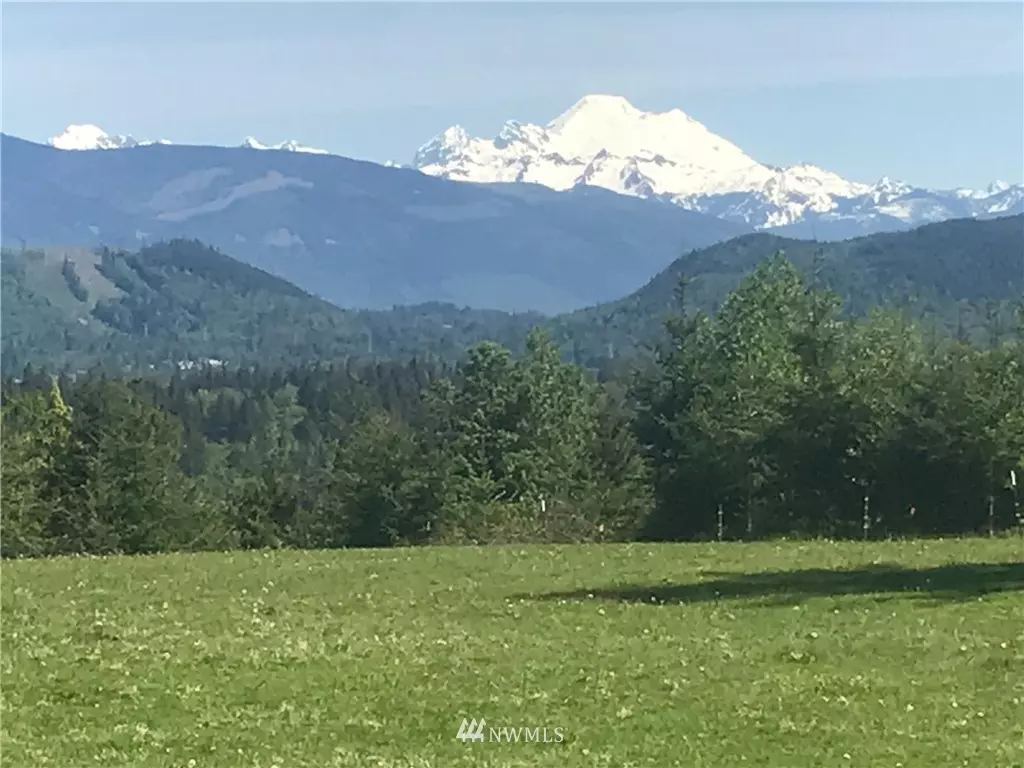 Mount Vernon, WA 98274,15 XXX Andal LN