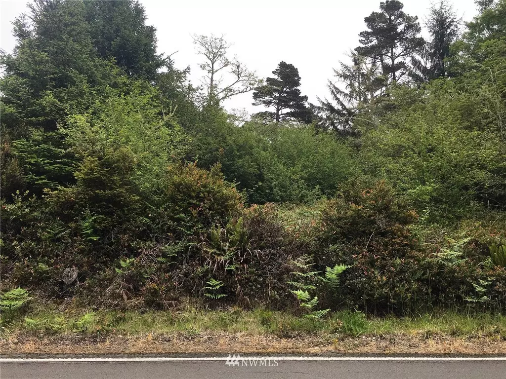 Oysterville, WA 98641,35460 Stackpole RD