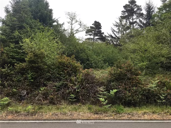 35460 Stackpole RD, Oysterville, WA 98641