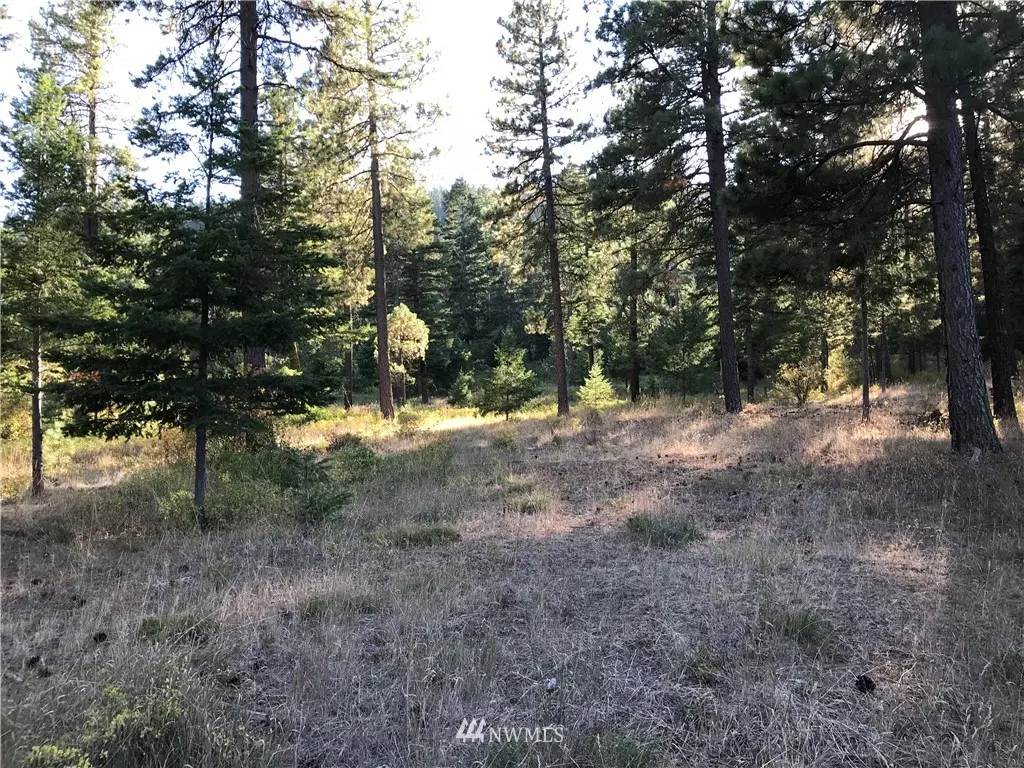 Cle Elum, WA 98922,0 Lot 4B Hidden Valley Terrace