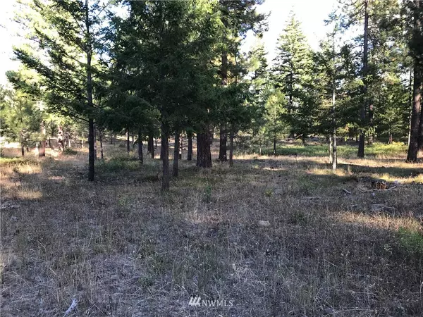 Cle Elum, WA 98922,0 Lot 4B Hidden Valley Terrace