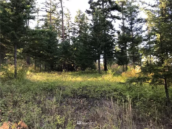 Cle Elum, WA 98922,0 Lot 4B Hidden Valley Terrace