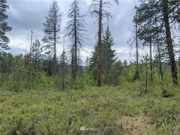 Leavenworth, WA 98826,0 XXX Mule Tail Flats RD