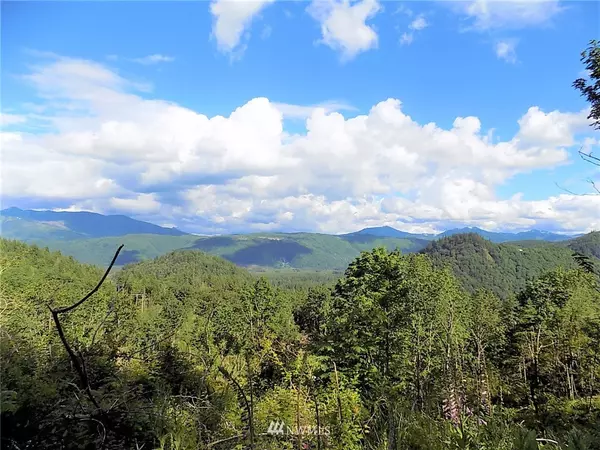 0 XX Reese Hill RD, Sumas, WA 98295