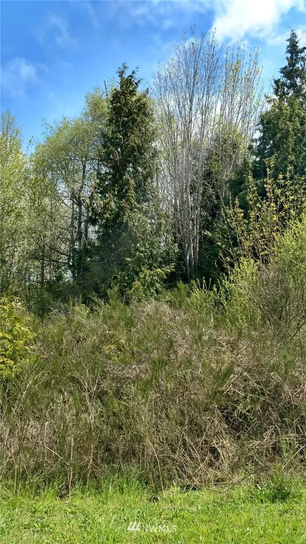 9999 Easy ST #Lot 1, Port Angeles, WA 98362