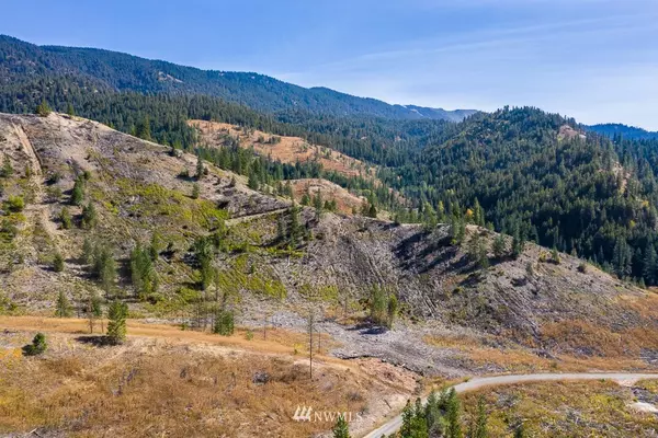 0 Dry Creek RD #Lot 8, Leavenworth, WA 98826