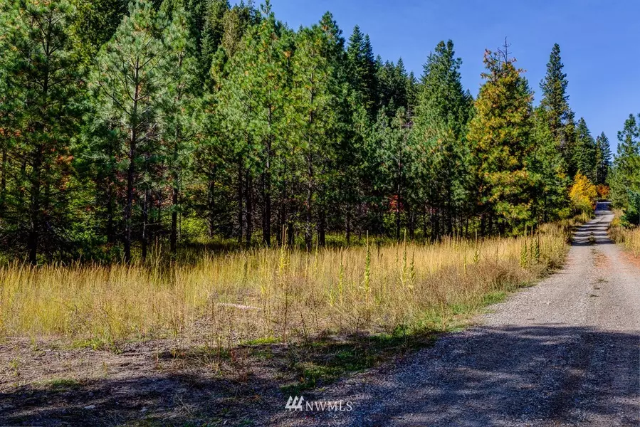 0 Dry Creek RD #Lot10, Leavenworth, WA 98826