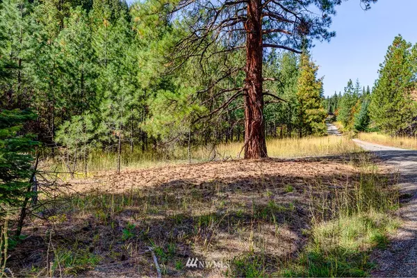 Leavenworth, WA 98826,0 Dry Creek RD #Lot10