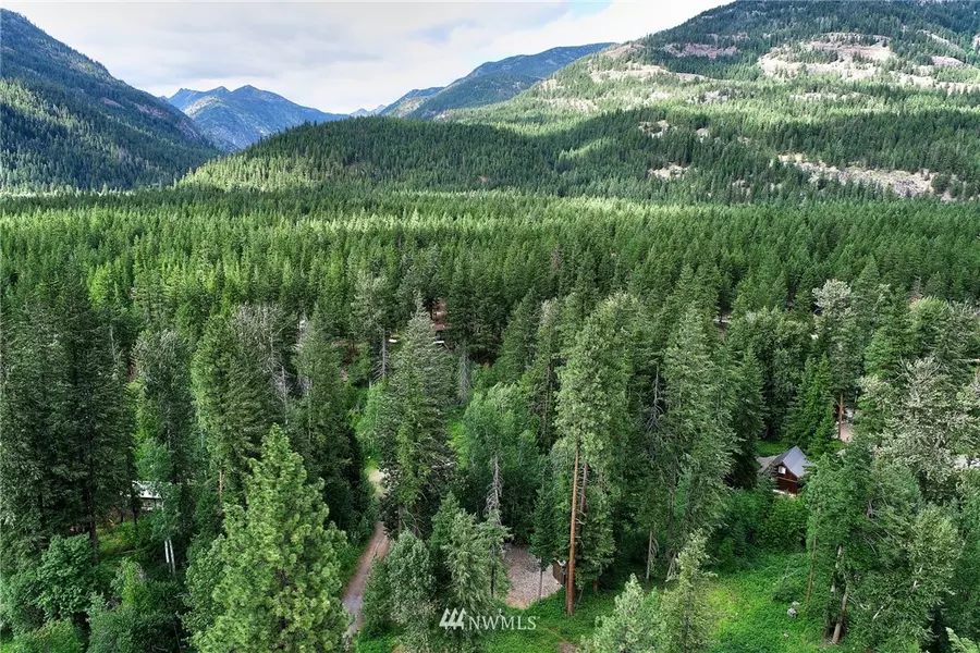 4 Cedar CIR, Mazama, WA 98833